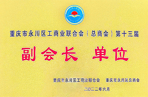 工商業(yè)聯(lián)合會(huì)副會(huì)長單位