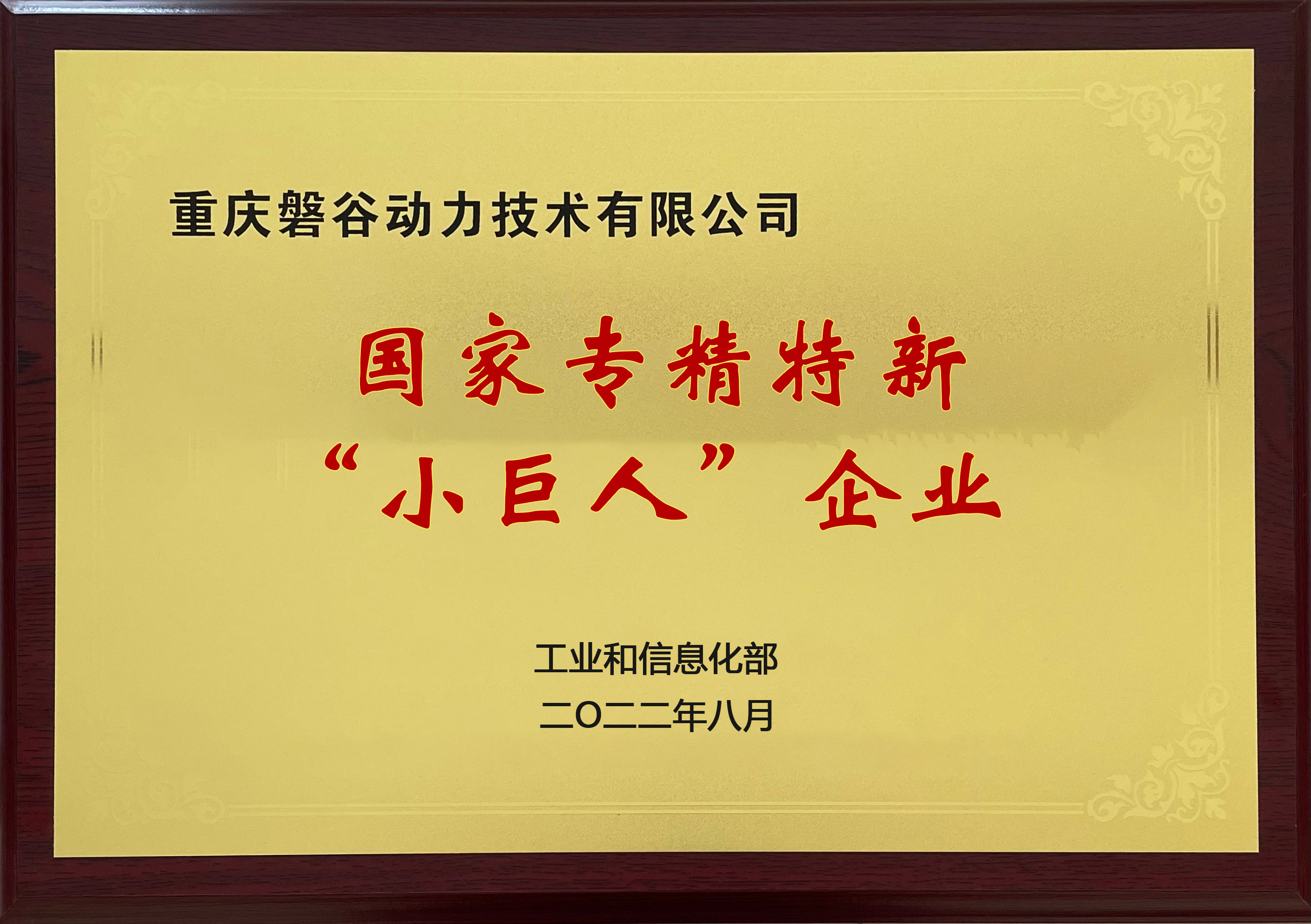 國(guó)家專(zhuān)精特新小巨人企業(yè)