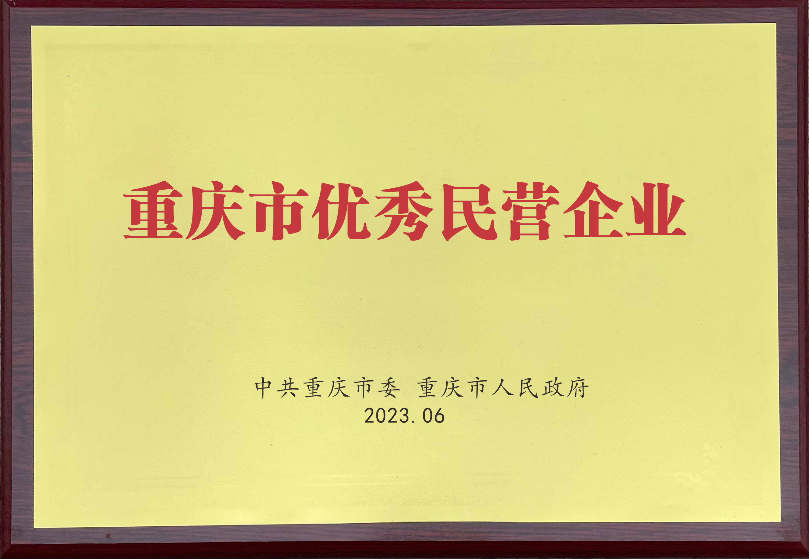 重慶市優(yōu)秀民營(yíng)企業(yè)