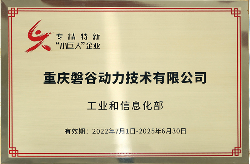 專(zhuān)精特新小巨人企業(yè)
